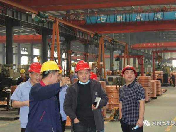 ���ż���������